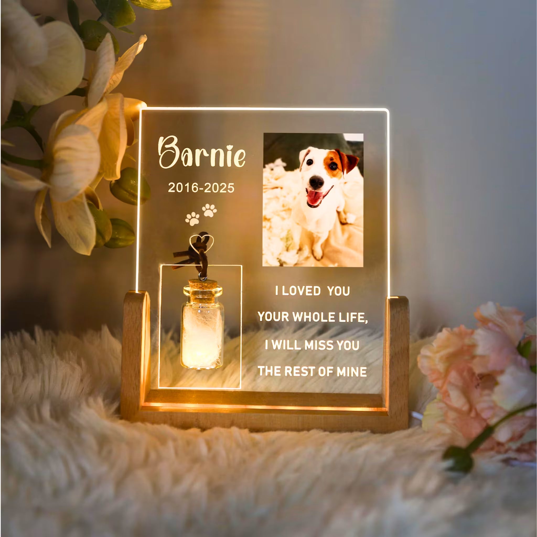Personalized Pet Loss Night Light with Photo & Fur Storage